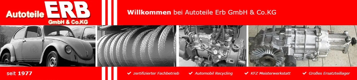 Autoteile Erb Dorfborn: Günstige gebrauchte Teile und top Bewertungen
